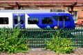 DG422685. Fencing and Buddleia. Wakefield Kirkgate. 19.7.2024.