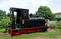FDG25350. CFTT No 1. St. Lieux-lès-Lavaur. France. 14.6.09.