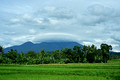 DG437283. Mount Argopuro. East Java. Indonesia. 21.1.2025.