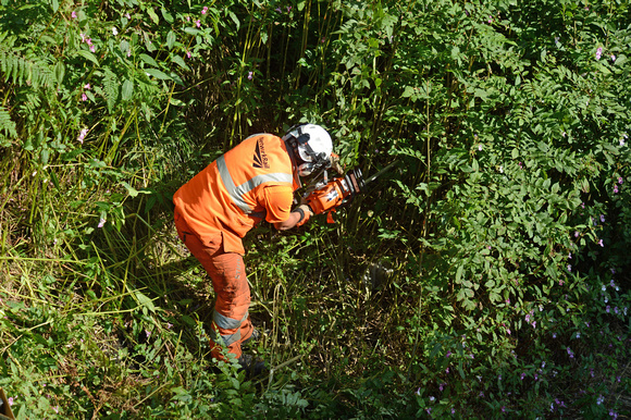 DG192639. Network Rail clearing vegetation. Grindleford. 8.9.14.