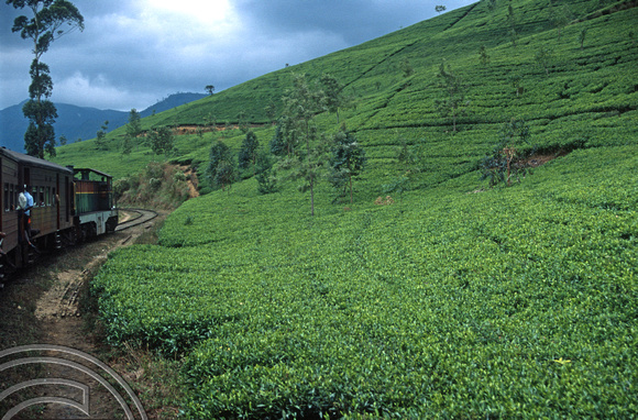 17098. Tea from the Badulla - Kandy train. Sri Lanka. 4.1.04.