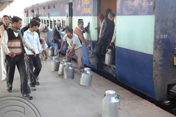 DG70222. Milk train. Lucknow. India. 15.12.10.