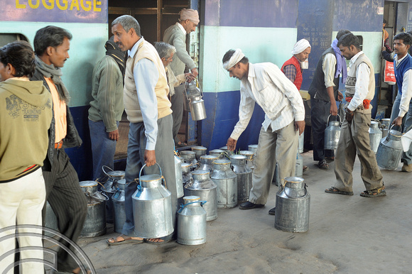 DG70228. Collecting milk churns. Lucknow. India. 15.12.10.