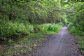 DG427326. The Middlewood way. Middlewood. 13.9.2024.